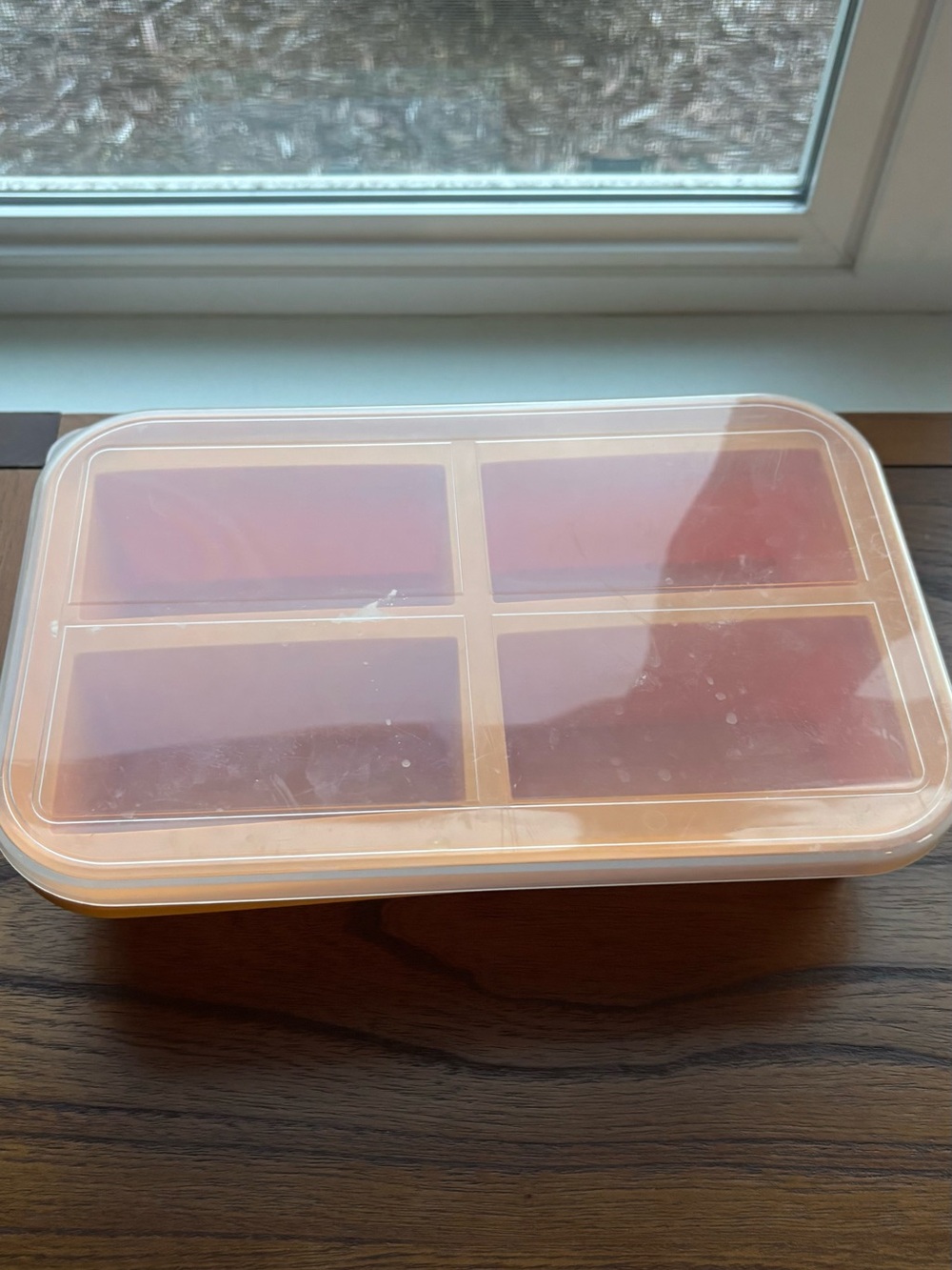 Orange Silicone Freezer Meal Box with 4 Compartments for Soups